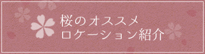 桜のオススメロケーション紹介