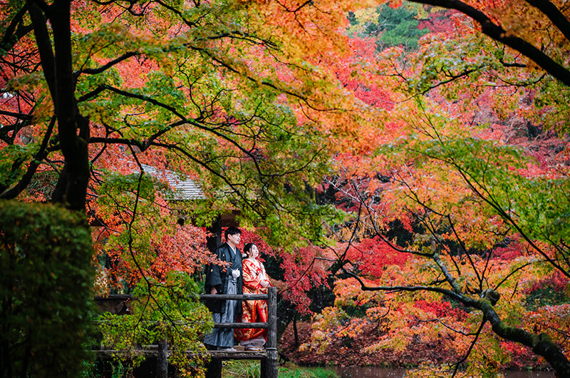 京都の自然公園は和装前撮りやフォトウェディングの人気ロケーション