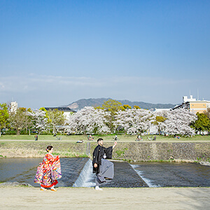 桜シーズンの鴨川