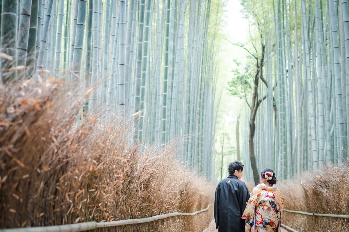 京都嵐山の竹林で和装前撮り「竹林の小径で色打掛前撮り」