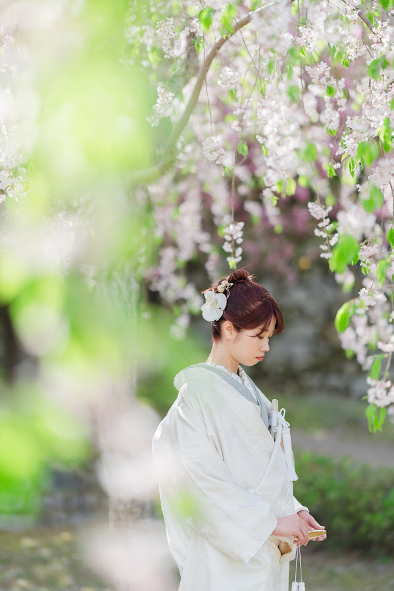 京都和装前撮り・フォトウェディング　のピン写・ソロカット「枝垂れ桜の木の下でソロショット」」