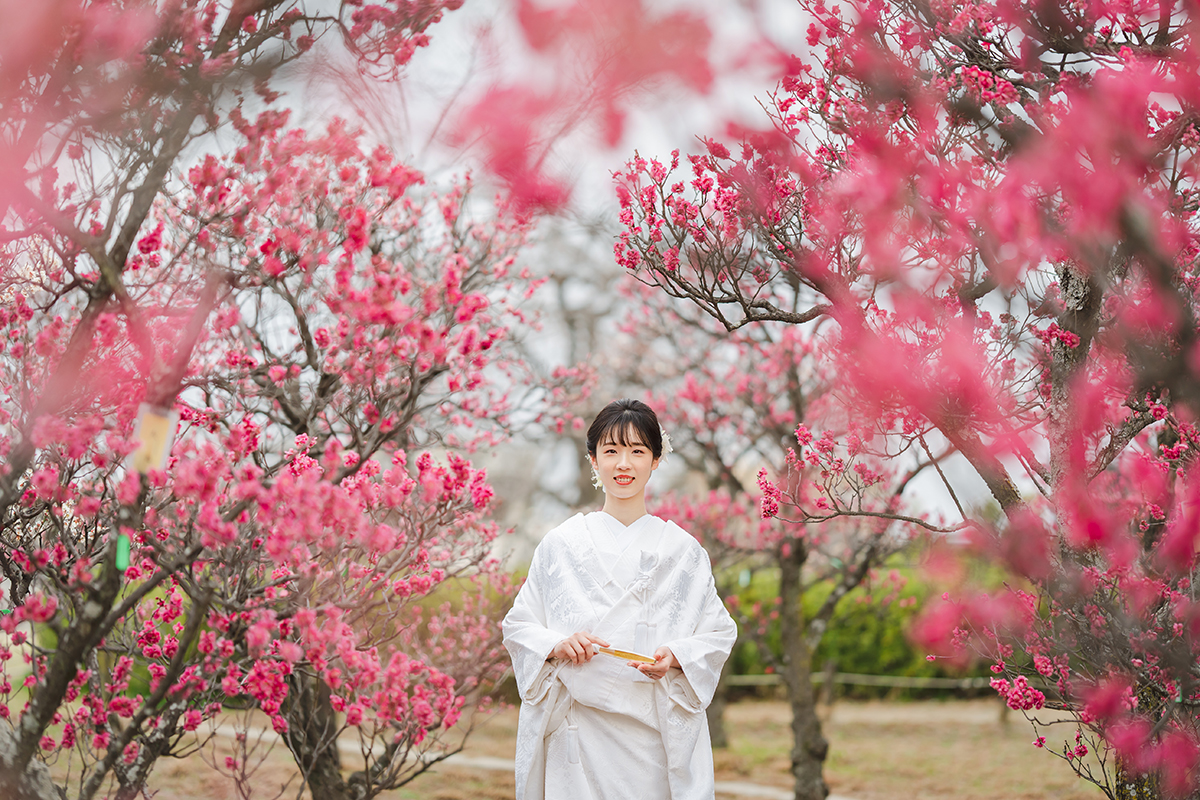 京都梅小路公園で和装前撮り「紅梅と白無垢の新婦ソロ」