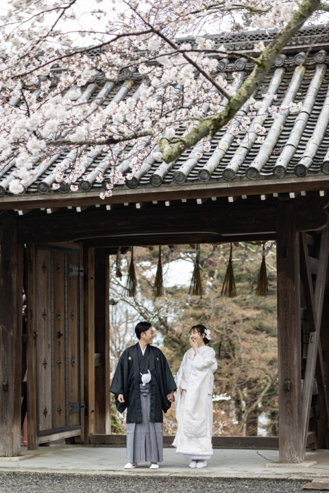 桜がきれいな毘沙門堂で京都和装前撮り・フォトウェディング