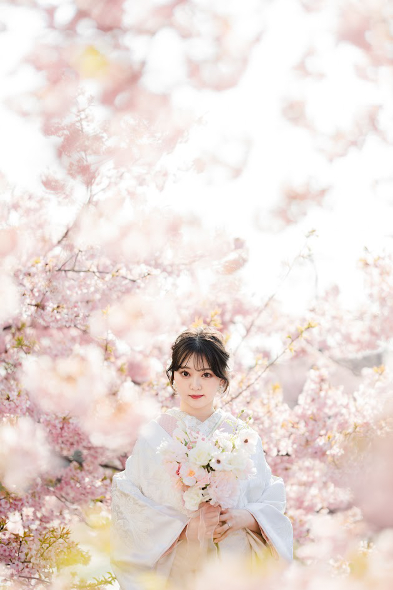 京都和装前撮り・フォトウェディング　のピン写・ソロカット「桜に包まれる新婦」