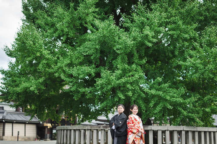 新緑の西本願寺で京都和装前撮り