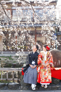 京都の桜で前撮り