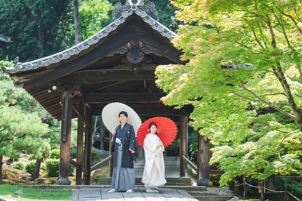 東福寺前撮り「通天橋と新緑を背景に白と赤の和傘で撮影」