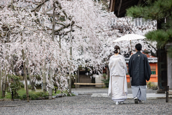 桜が圧巻の毘沙門堂で京都和装前撮り・フォトウェディング
