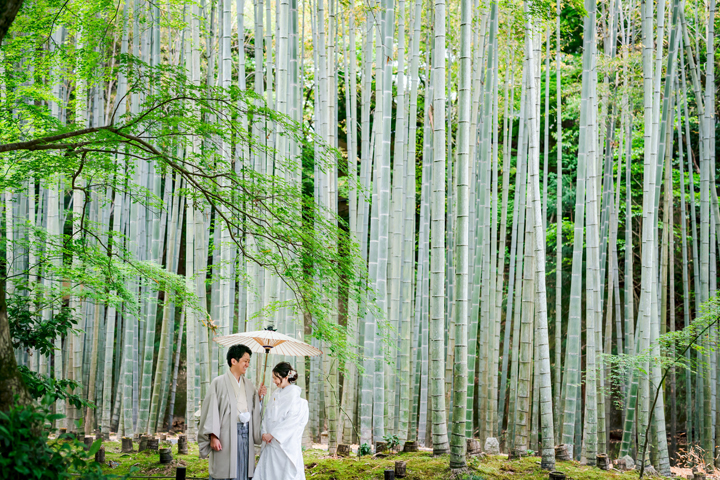 京都和装前撮り・フォトウェディングは竹林がある圓光寺が人気