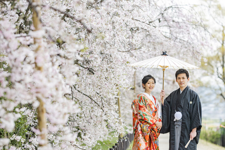 鴨川の前撮り・フォトウェディング「桜の木の下で相合傘」