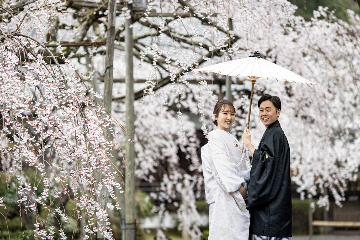結婚式の和装フォトウェディング「枝垂れ桜が見頃の毘沙門堂」