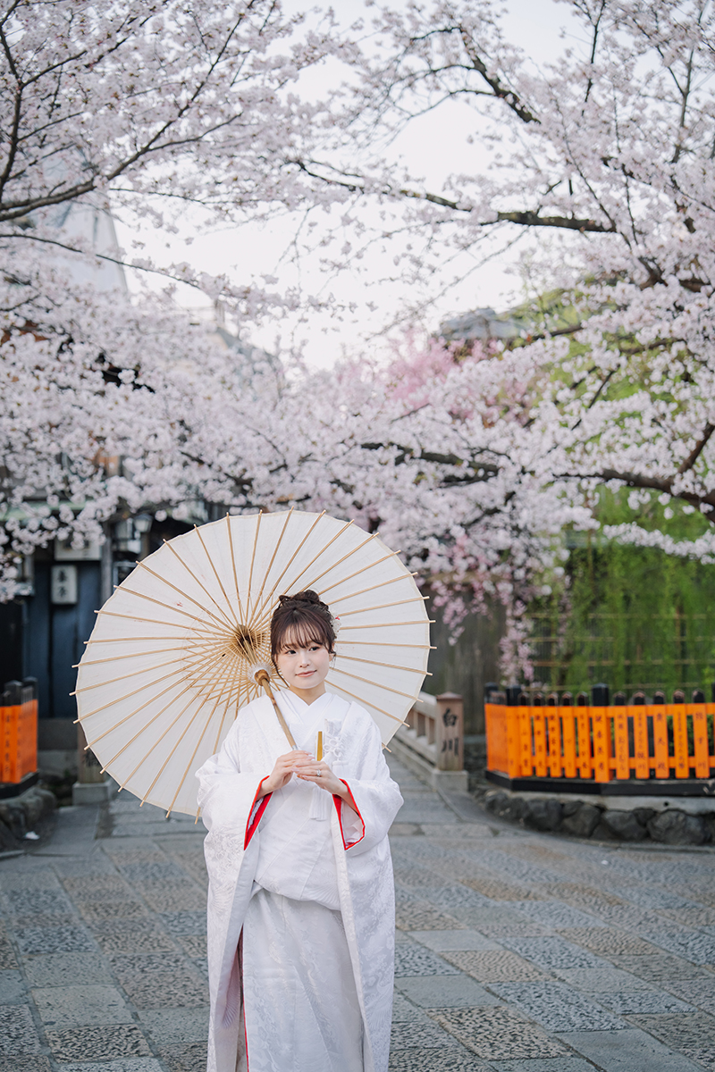 桜満開の祇園で白い和傘を差す赤ふきの白無垢を着た新婦
