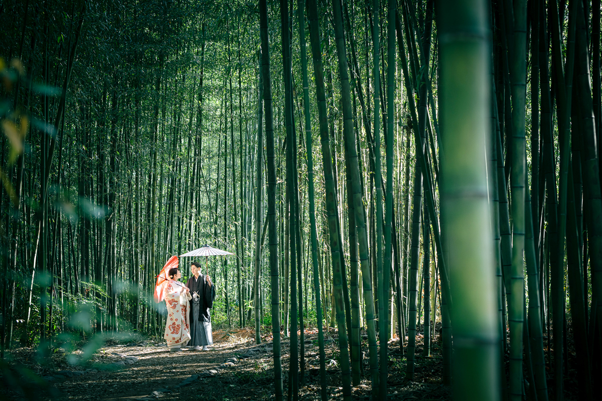 結婚式の和装フォトウェディング「木漏れ日が差し込む大覚寺の竹林」