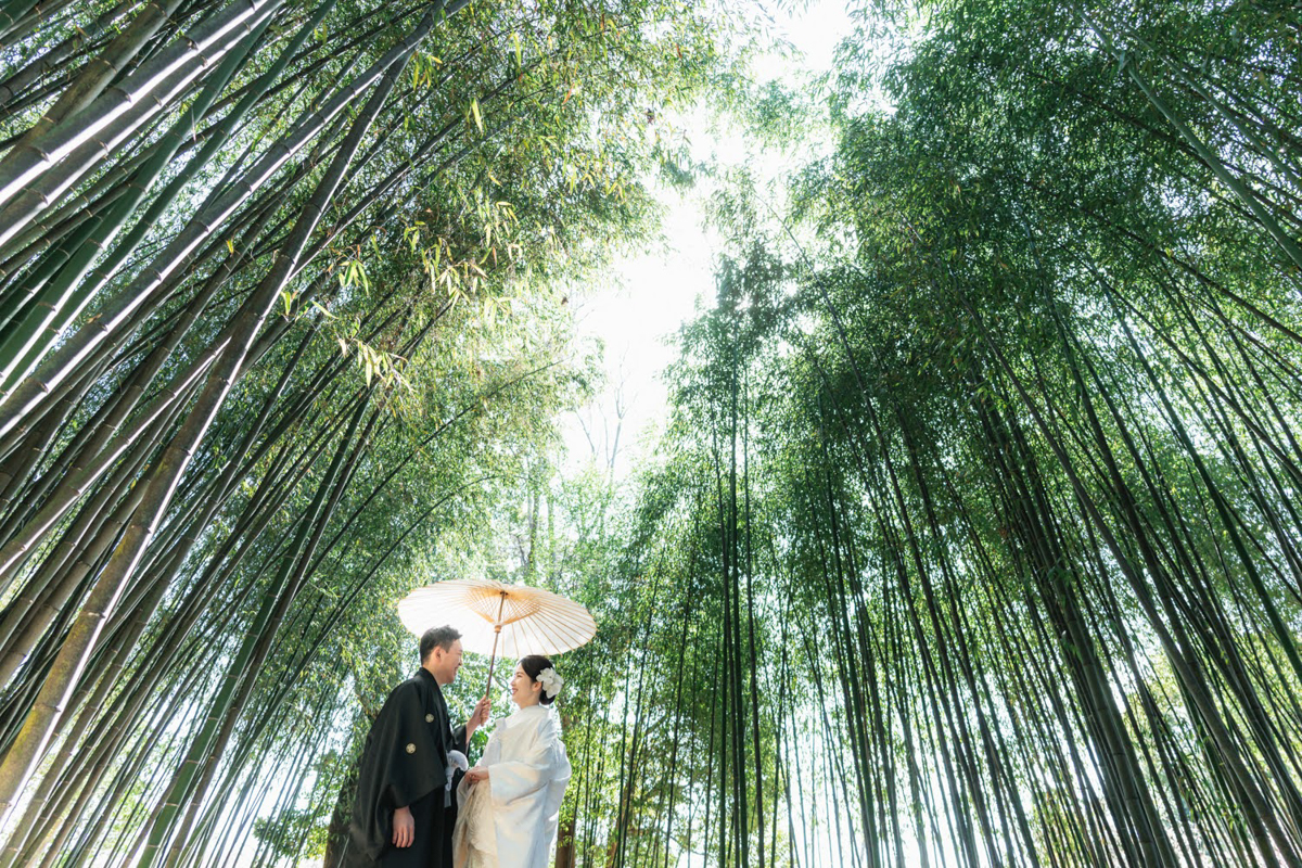 結婚式の和装フォトウェディング「新緑が美しい大覚寺の竹林」