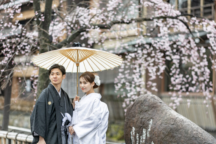 京都前撮りは祇園の桜フォトウェディングがおすすめです