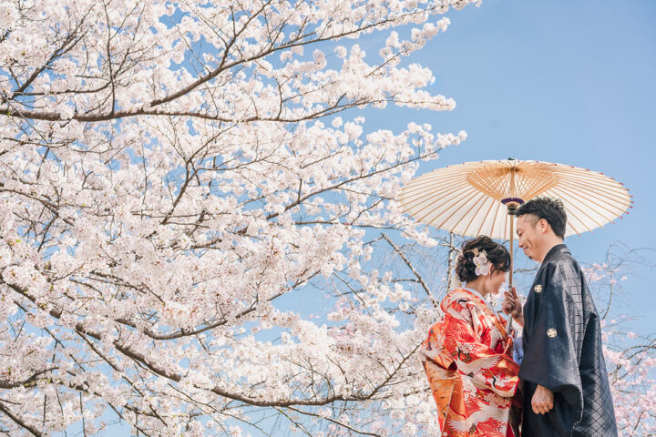 鴨川の前撮り・フォトウェディング「青空と桜」