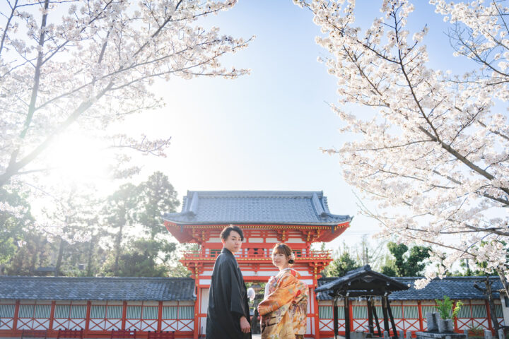 京都和装前撮りは新日吉神宮の桜が人気