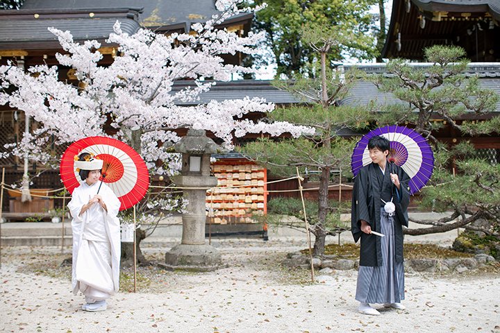 今宮神社　桜