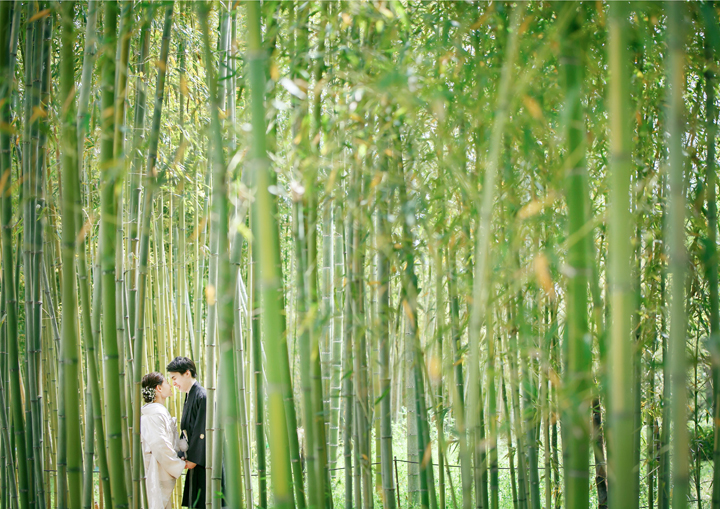 和装前撮り・フォトウェディングは京都の自然公園の竹林がきれい