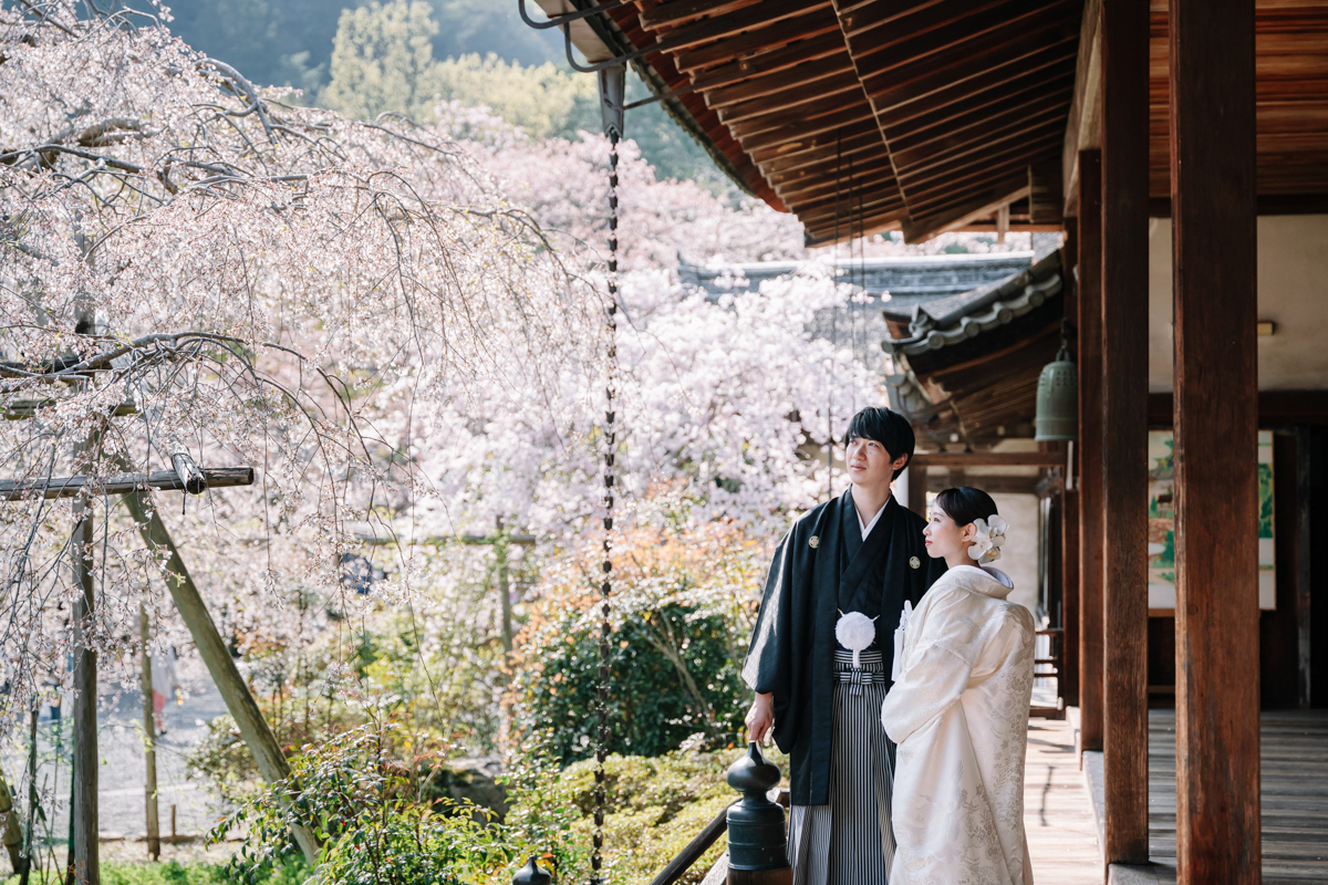 結婚式の和装フォトウェディング「毘沙門堂のお堂から眺める桜」