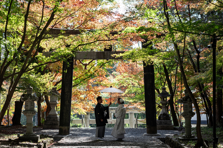 京都　前撮り　大原野神社　紅葉