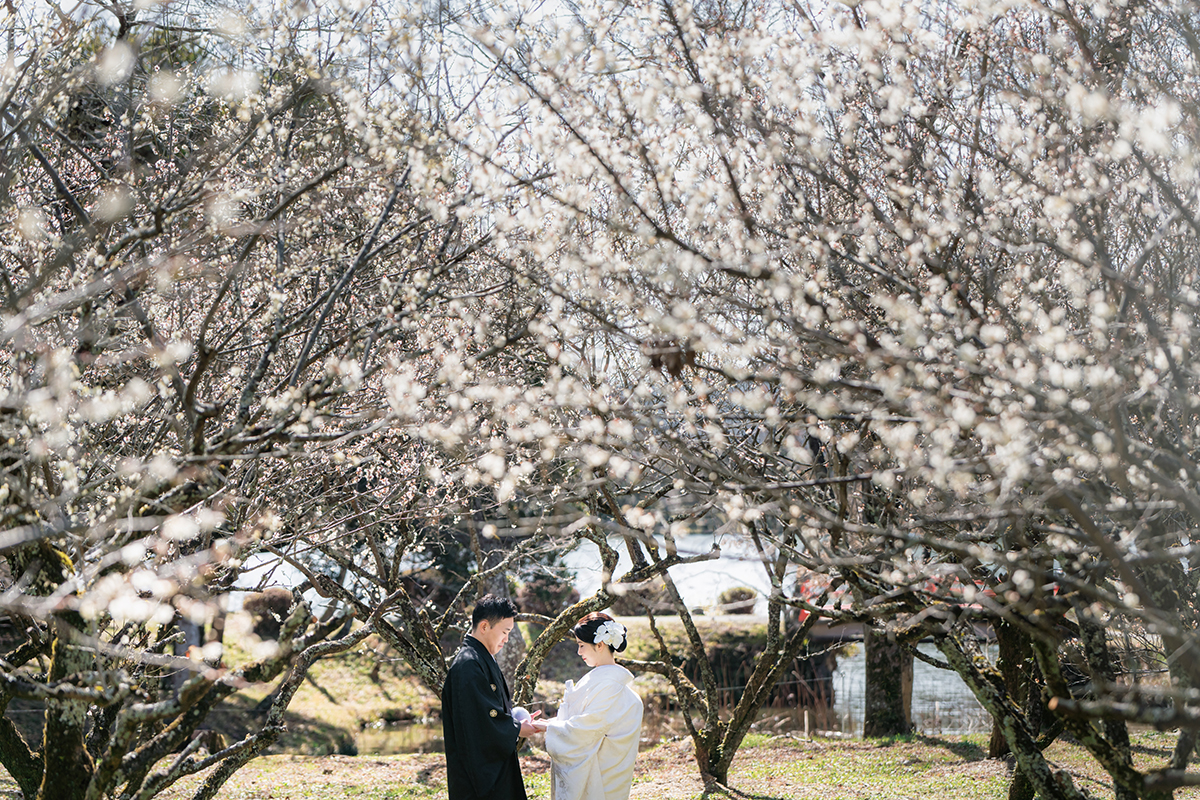 京都大覚寺で和装前撮り「梅園の中の二人」