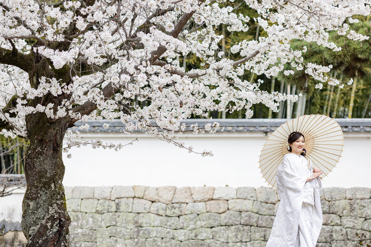 結婚式の和装フォトウェディング「桜が満開の萬福寺」