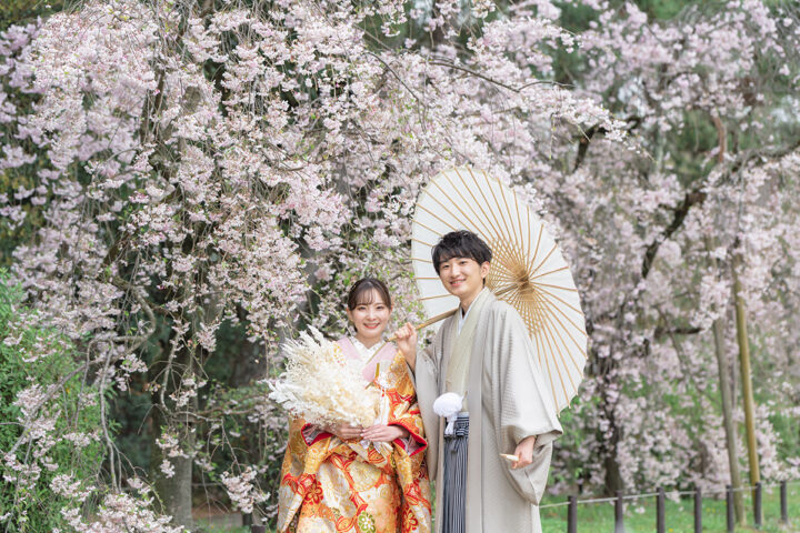 鴨川の前撮り・フォトウェディング「枝垂れ桜の柔らかい雰囲気と色味の合うお衣裳」