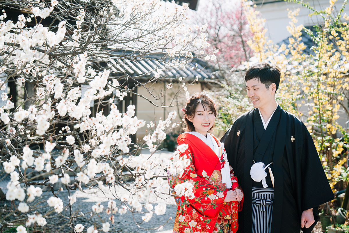 京都梅宮大社で和装前撮り「梅と新郎新婦」