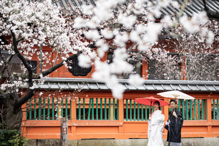 京都和装前撮り・フォトウェディングは毘沙門堂の桜が穴場のロケーション