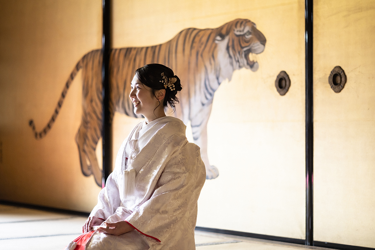 虎の襖絵の前で赤ふきの白無垢を着て正座する新婦