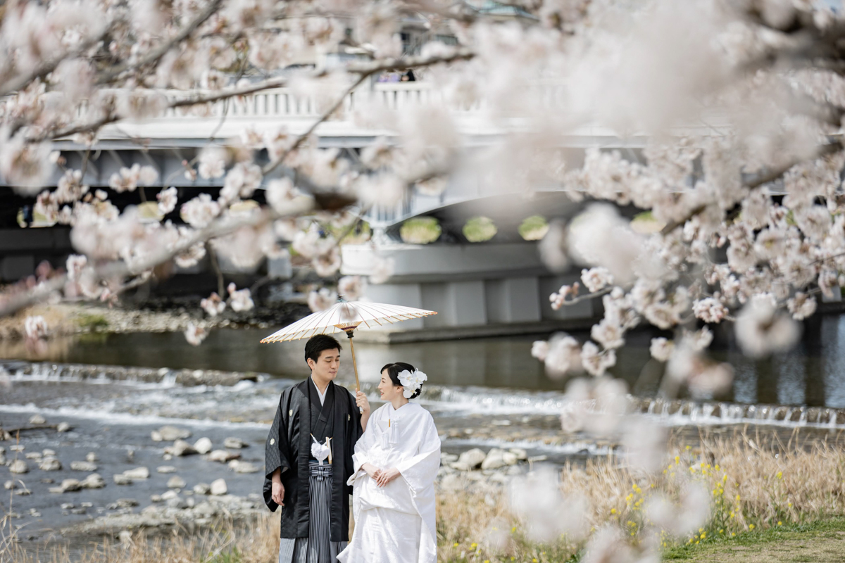 関西の和装前撮りは桜の鴨川がきれい
