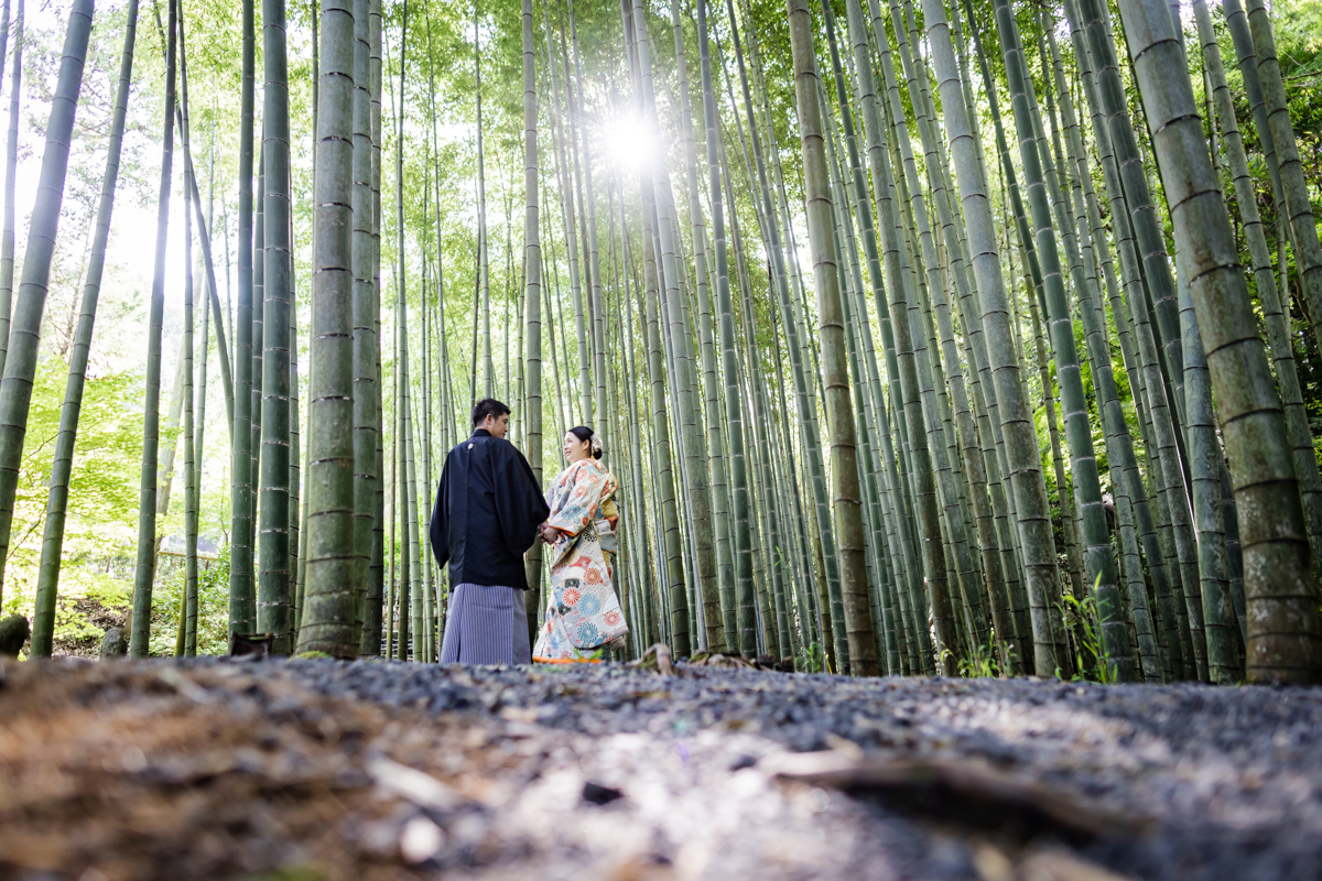 関西の和装前撮りは圓光寺の竹林が人気