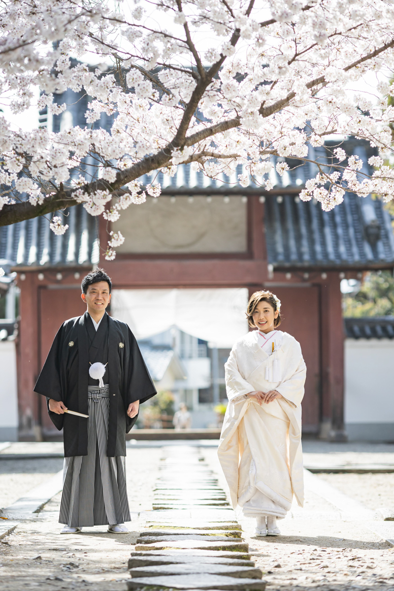 結婚式の和装フォトウェディング「萬福寺の桜は花のボリュームがある」