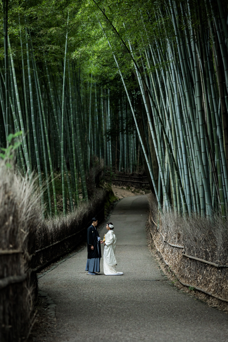 関西の和装前撮りは嵐山の竹林が人気