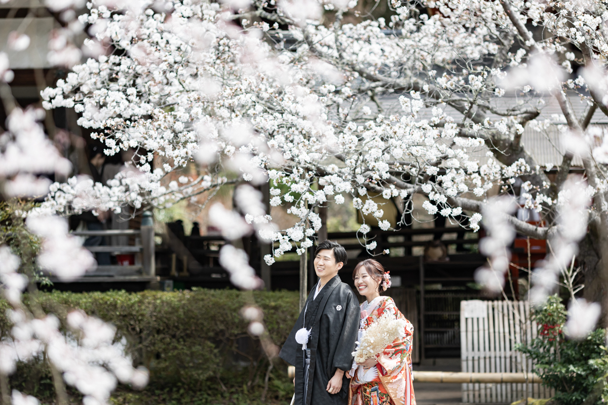結婚式の和装フォトウェディング「桜が見事な毘沙門堂」