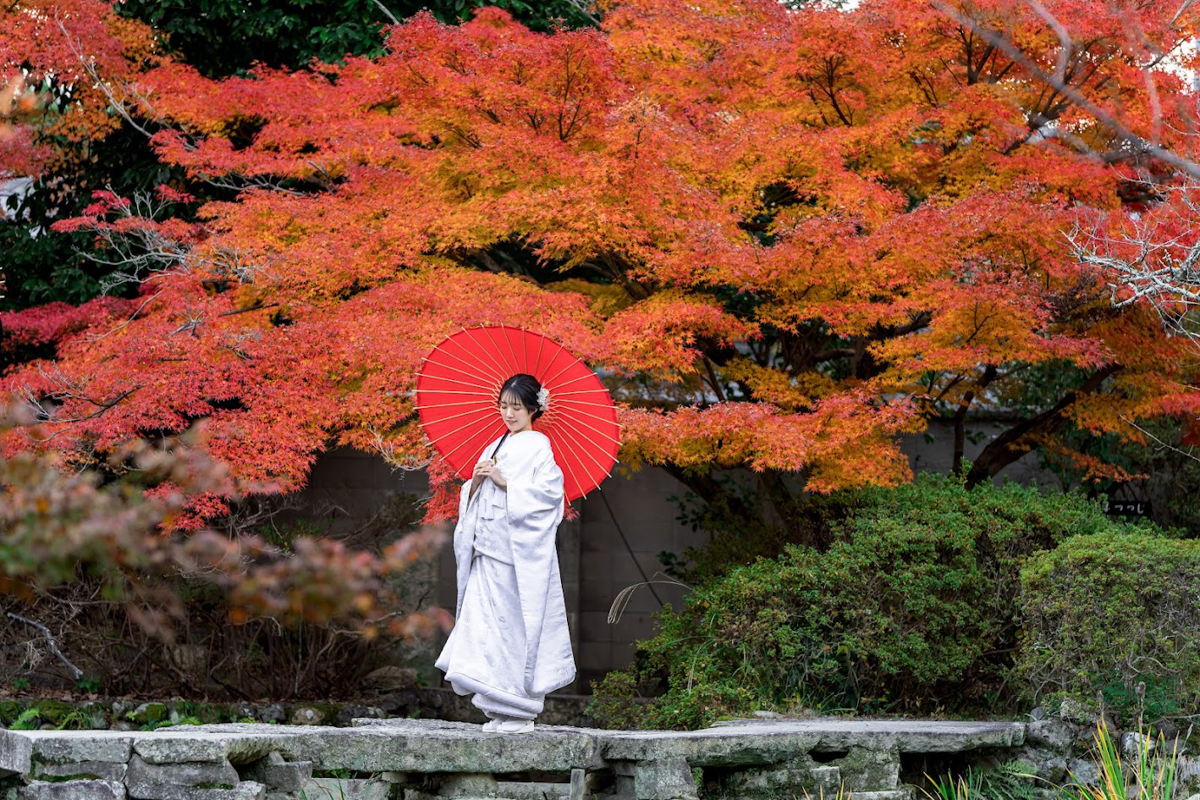 京都和装前撮り・フォトウェディング　のピン写・ソロカット「一面の紅葉を背に」」