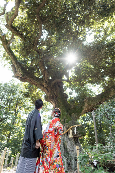 新日吉神宮のご神木を入れて京都和装前撮り