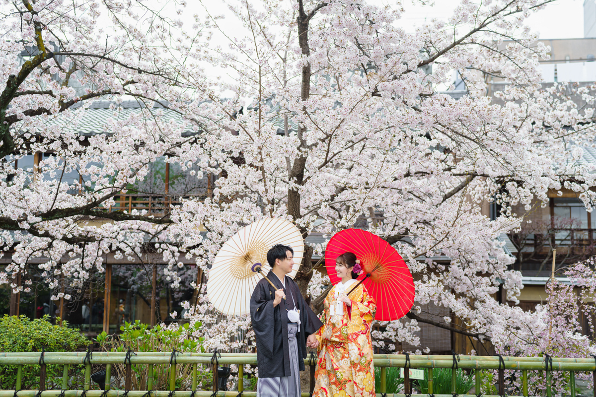 結婚式の和装ロケーション前撮り「満開の桜の木の下で」