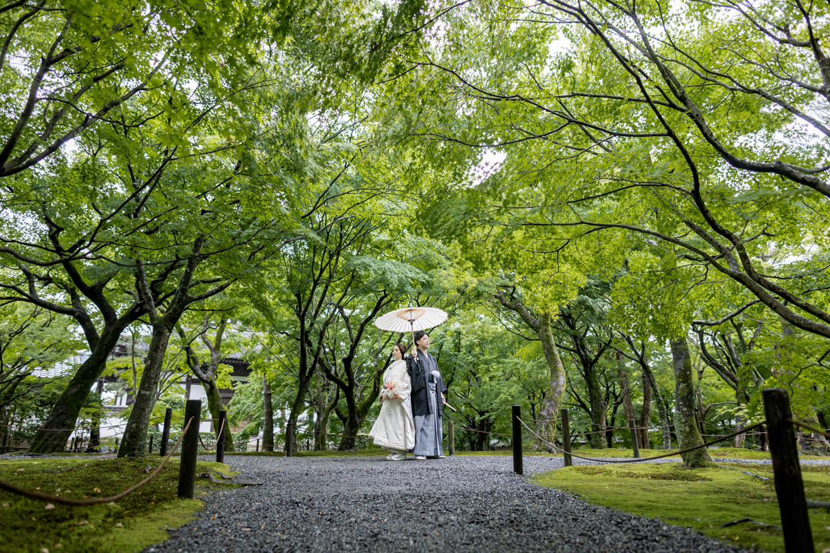 東福寺前撮り「庭園の新緑に囲まれて」