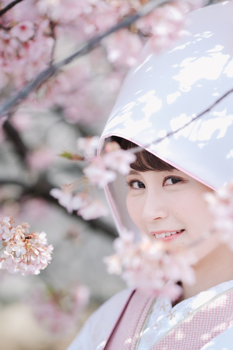 京都和装前撮り・フォトウェディング　のピン写・ソロカット「桜と綿帽子」