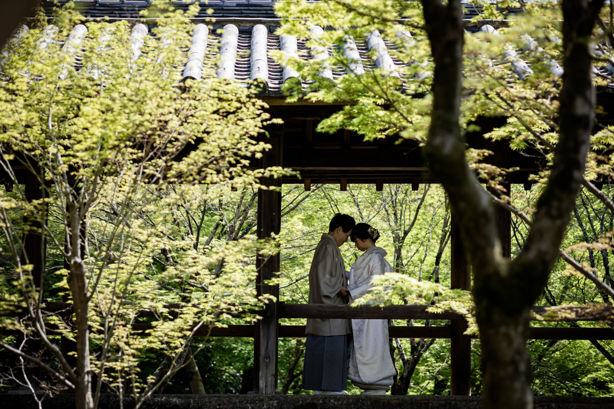 東福寺前撮り「通天橋でおでこを重ねたシルエットフォト」
