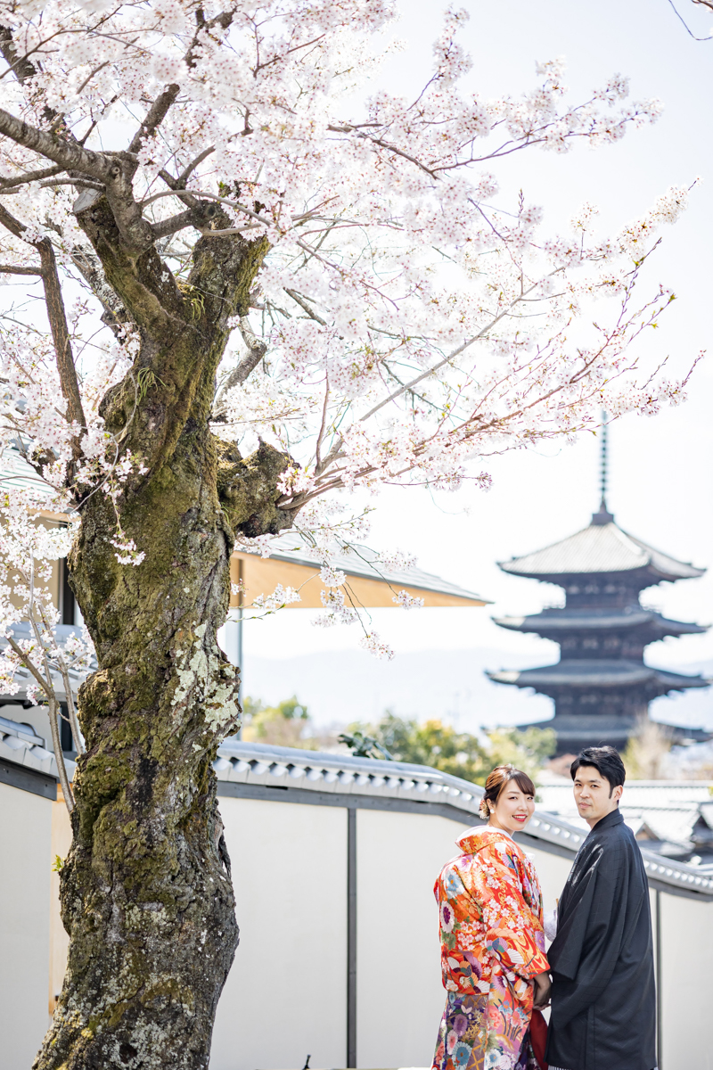 結婚式の和装ロケーション前撮り「桜と五重の塔」