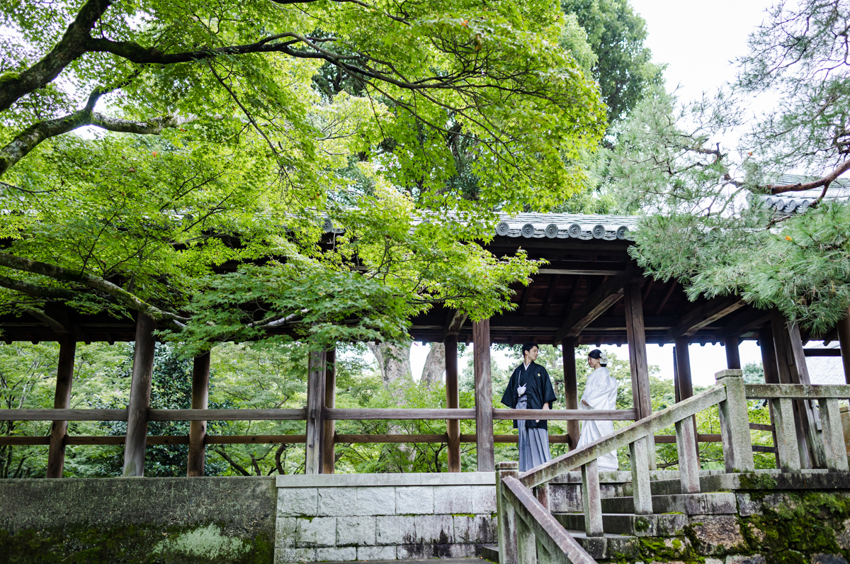 東福寺前撮り「新緑が美しい時期の通天橋」