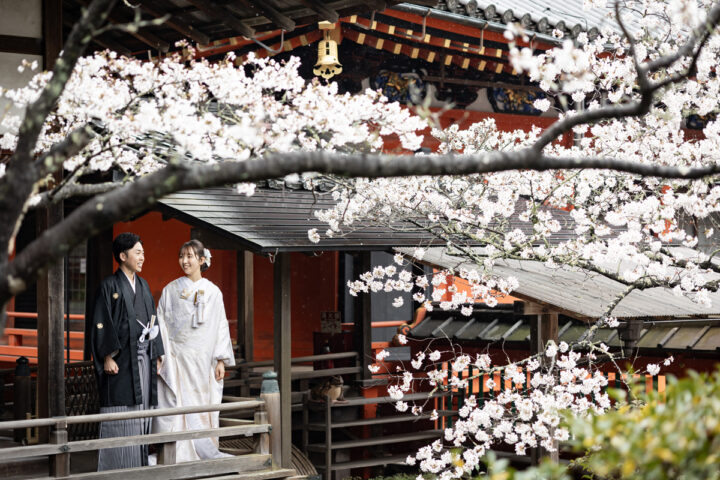 桜の京都和装前撮り・フォトウェディングは毘沙門堂がおすすめ