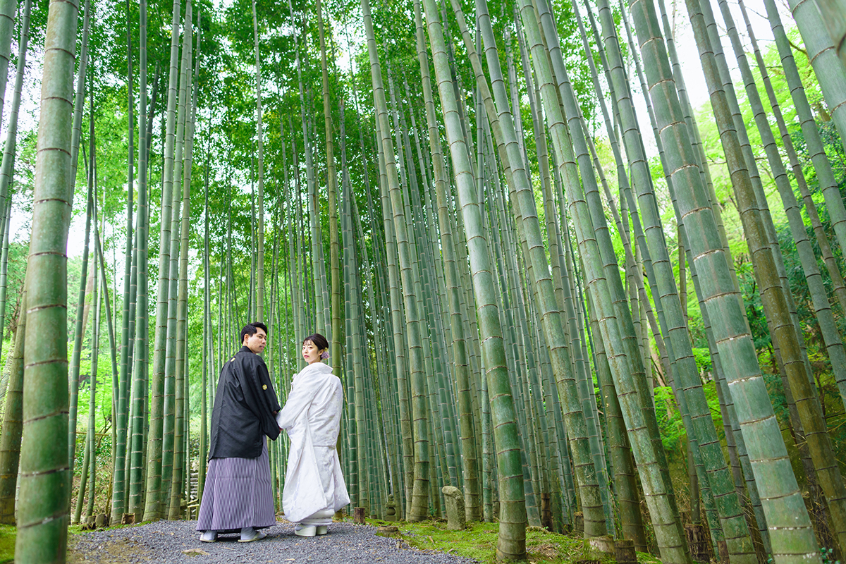 京都・圓光寺前撮り「竹林で振り向きショット」
