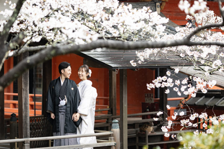 桜の京都和装前撮り・フォトウェディングは毘沙門堂がきれい