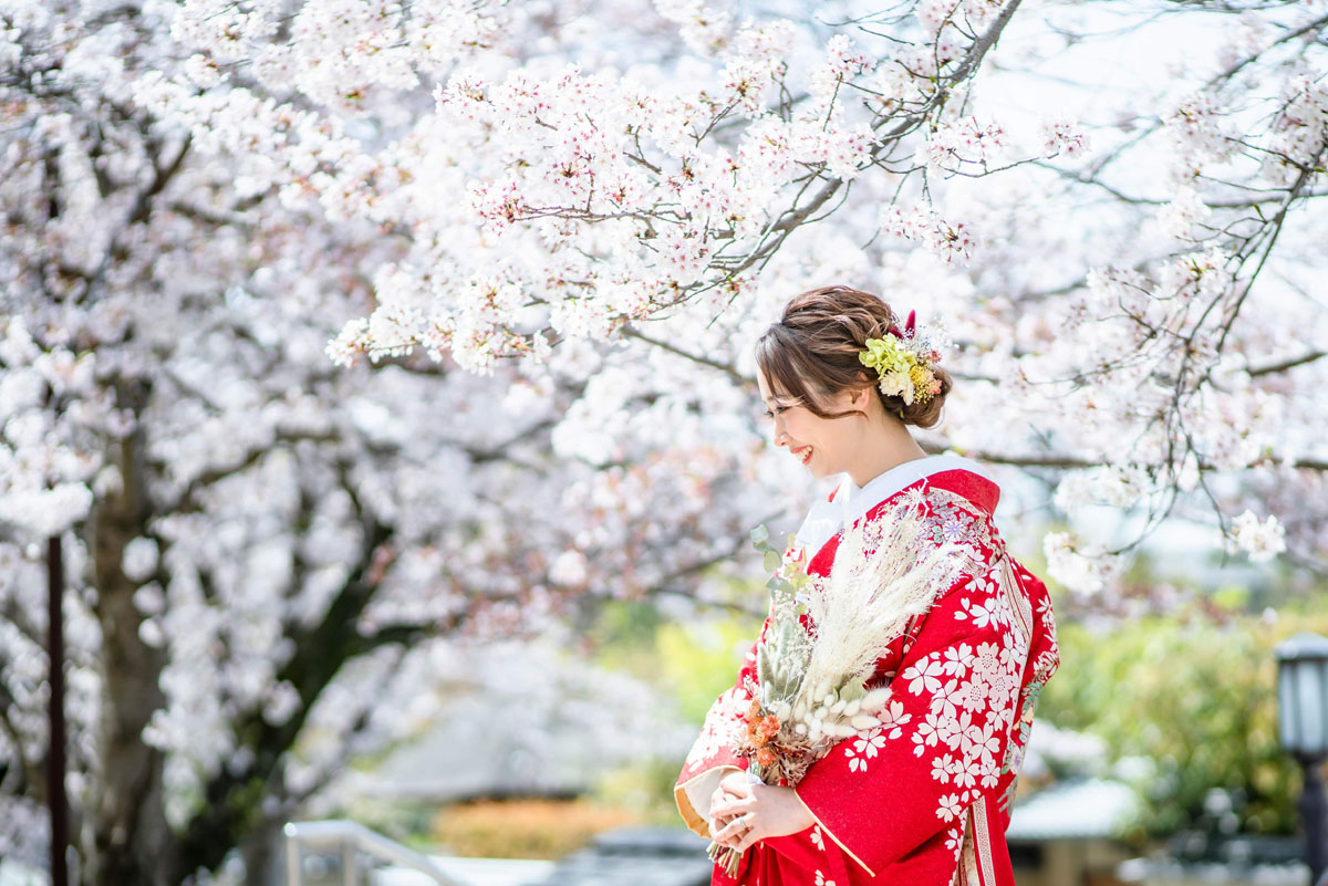 結婚式の和装ロケーション前撮り「桜満開の東山八坂」