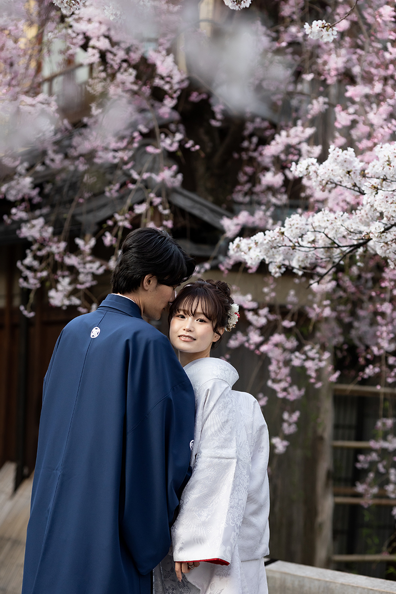 桜満開の祇園で寄り添う赤ふきの白無垢姿の新婦と新郎