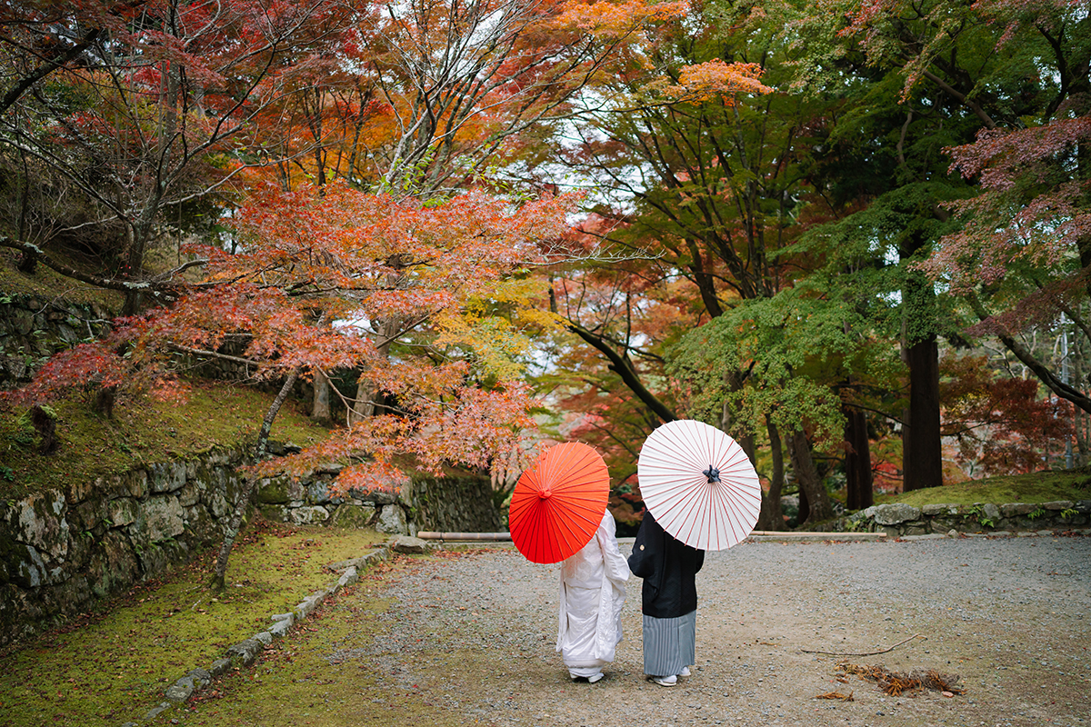 毘沙門堂（京都）で和装前撮り・フォトウェディング「弁天堂の周りの紅葉と番傘を持つ後ろ姿の新郎新婦」